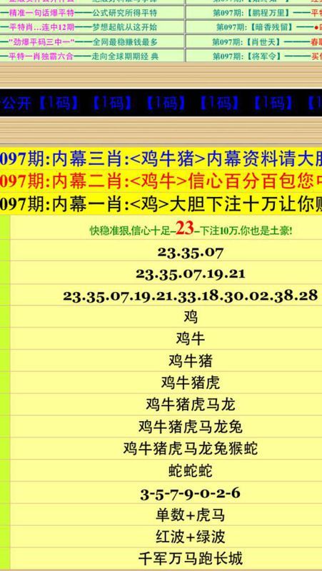 新澳门今晚开特马结果查询,全面解答解释落实_标准版90.65.32