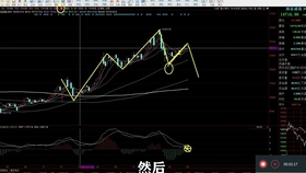 2024澳门特马今晚开奖93,现状解答解释落实_对战版8.95.23